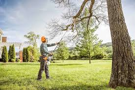 Best Leaf Removal  in South Taft, CA
