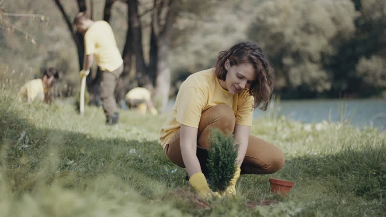 Soil Testing and Treatment in South Taft, CA