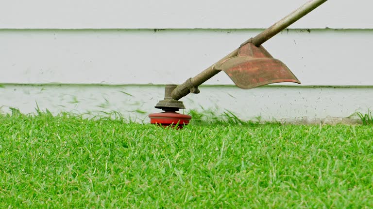 Best Tree Risk Assessment  in South Taft, CA