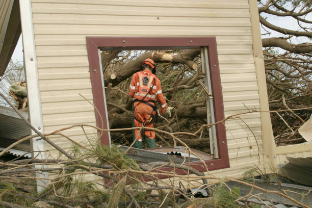 Best Tree Disease Treatment  in South Taft, CA
